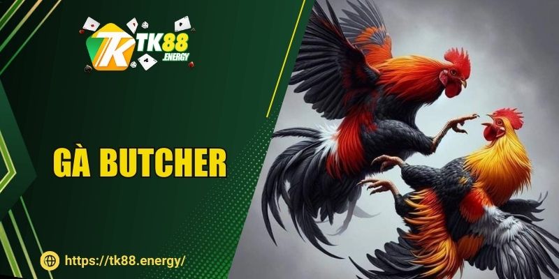 Gà Butcher - Cuồng Nhiệt Sàn Đấu Máu Lửa Tại TK88